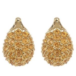 Kate spade earrings ✨